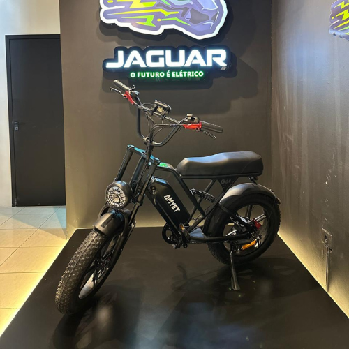 Bicicleta elétrica